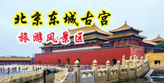 男人操女人逼下载中国北京-东城古宫旅游风景区